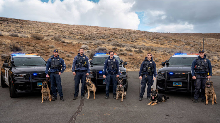 K9's and thier handlers'